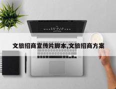 文旅招商宣传片脚本,文旅招商方案