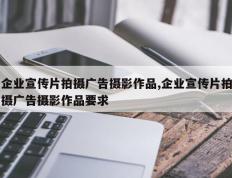企业宣传片拍摄广告摄影作品,企业宣传片拍摄广告摄影作品要求