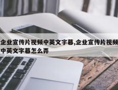 企业宣传片视频中英文字幕,企业宣传片视频中英文字幕怎么弄