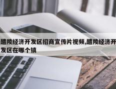 醴陵经济开发区招商宣传片视频,醴陵经济开发区在哪个镇