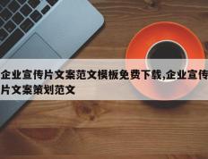 企业宣传片文案范文模板免费下载,企业宣传片文案策划范文