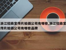 浙江招商宣传片拍摄公司有哪些,浙江招商宣传片拍摄公司有哪些品牌