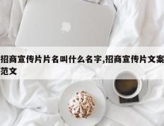 招商宣传片片名叫什么名字,招商宣传片文案范文