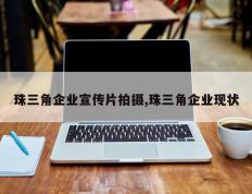 珠三角企业宣传片拍摄,珠三角企业现状